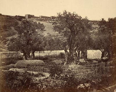 Il Giardino del Getsemani da James Robertson